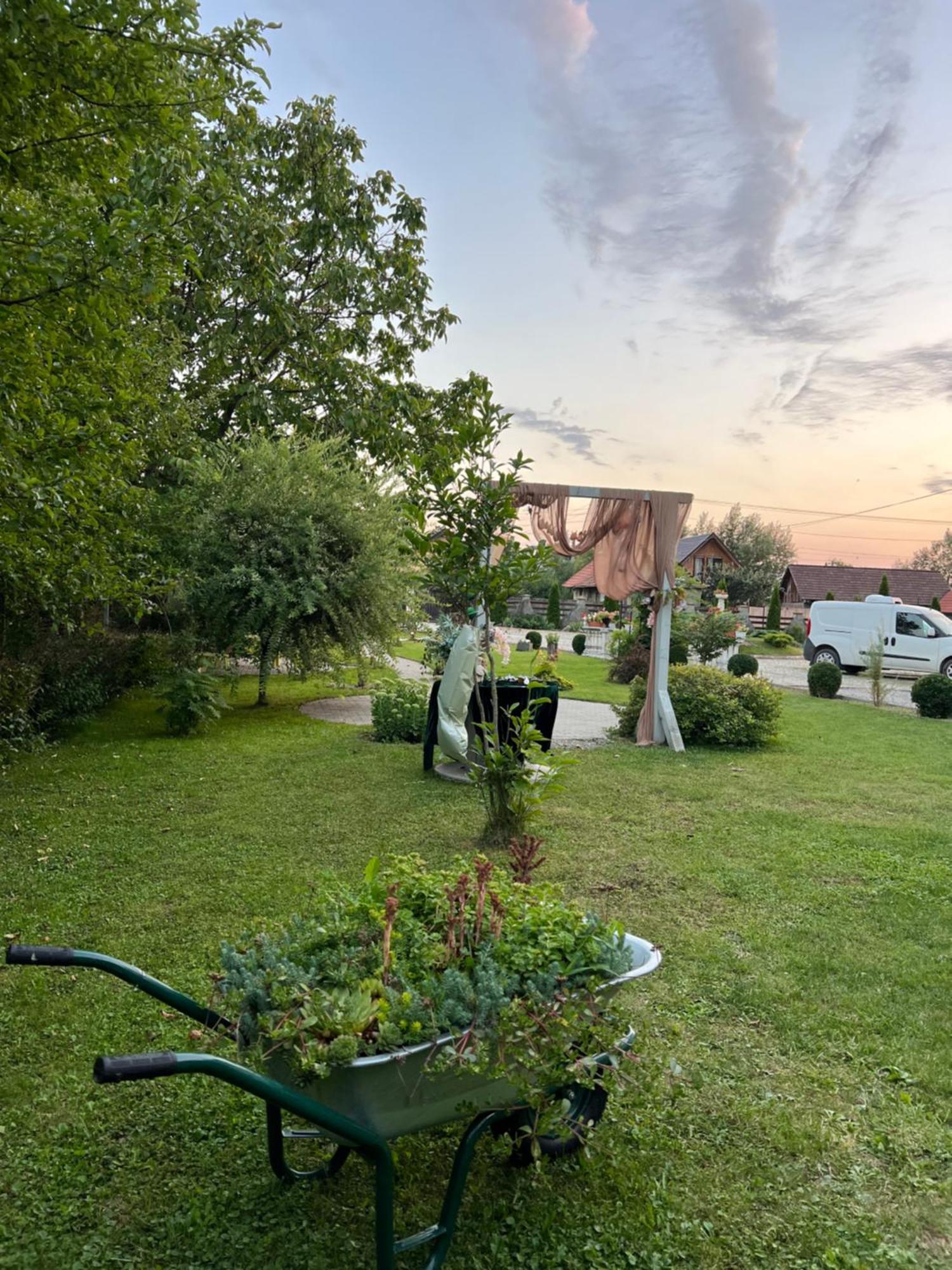 Pensiunea Baroc Dobirlau Exterior photo